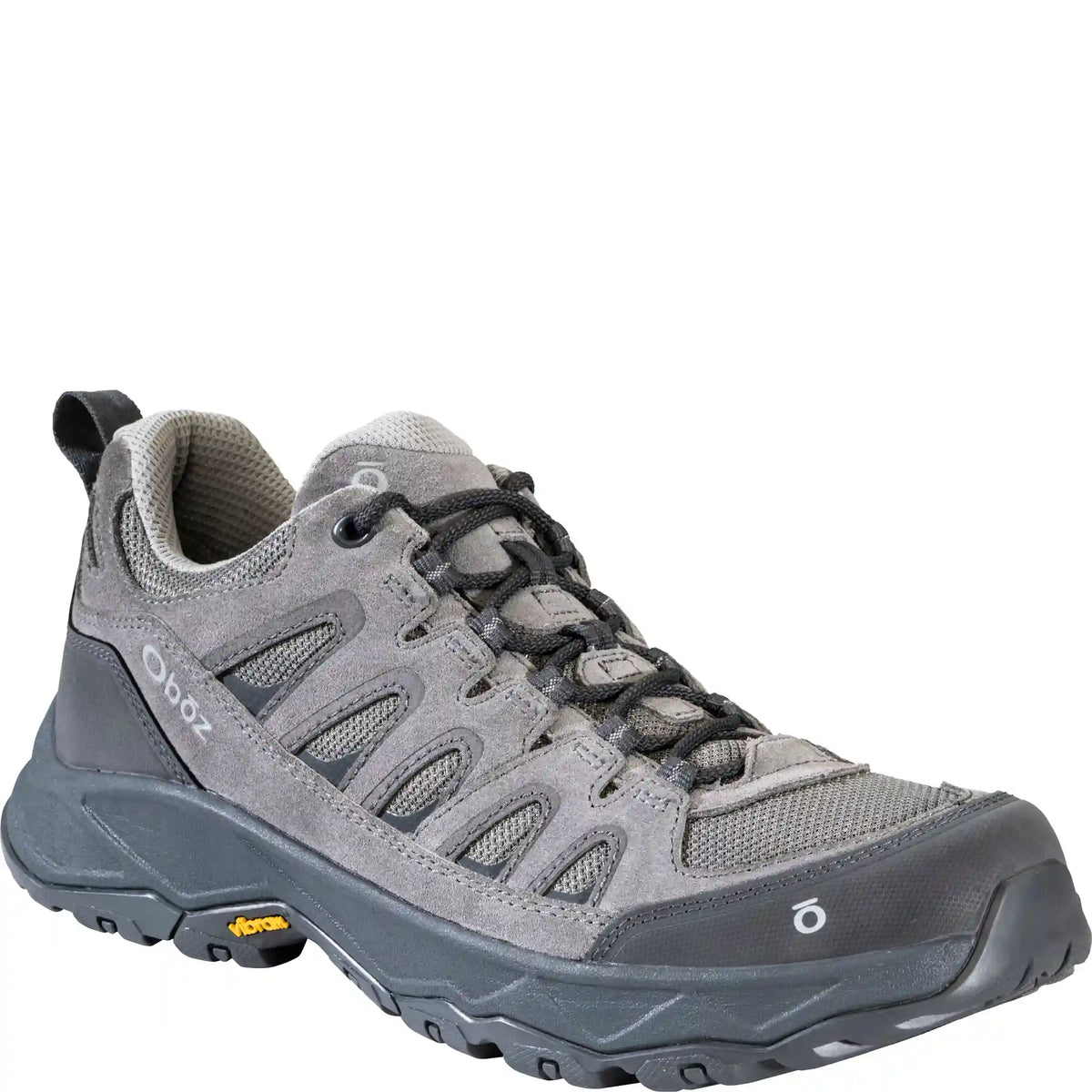 Men's Sawtooth Ascent Low