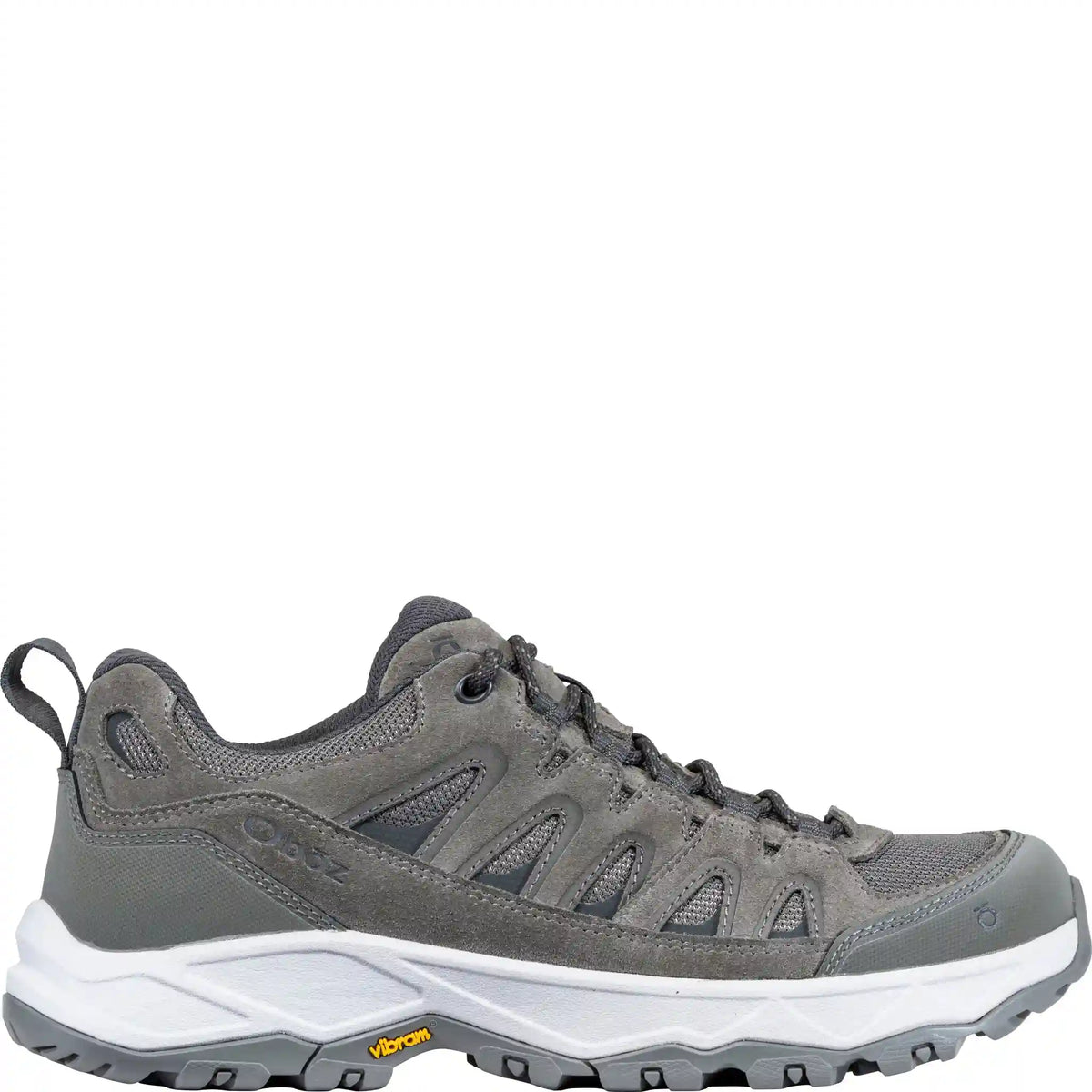 Men's Sawtooth Ascent Low
