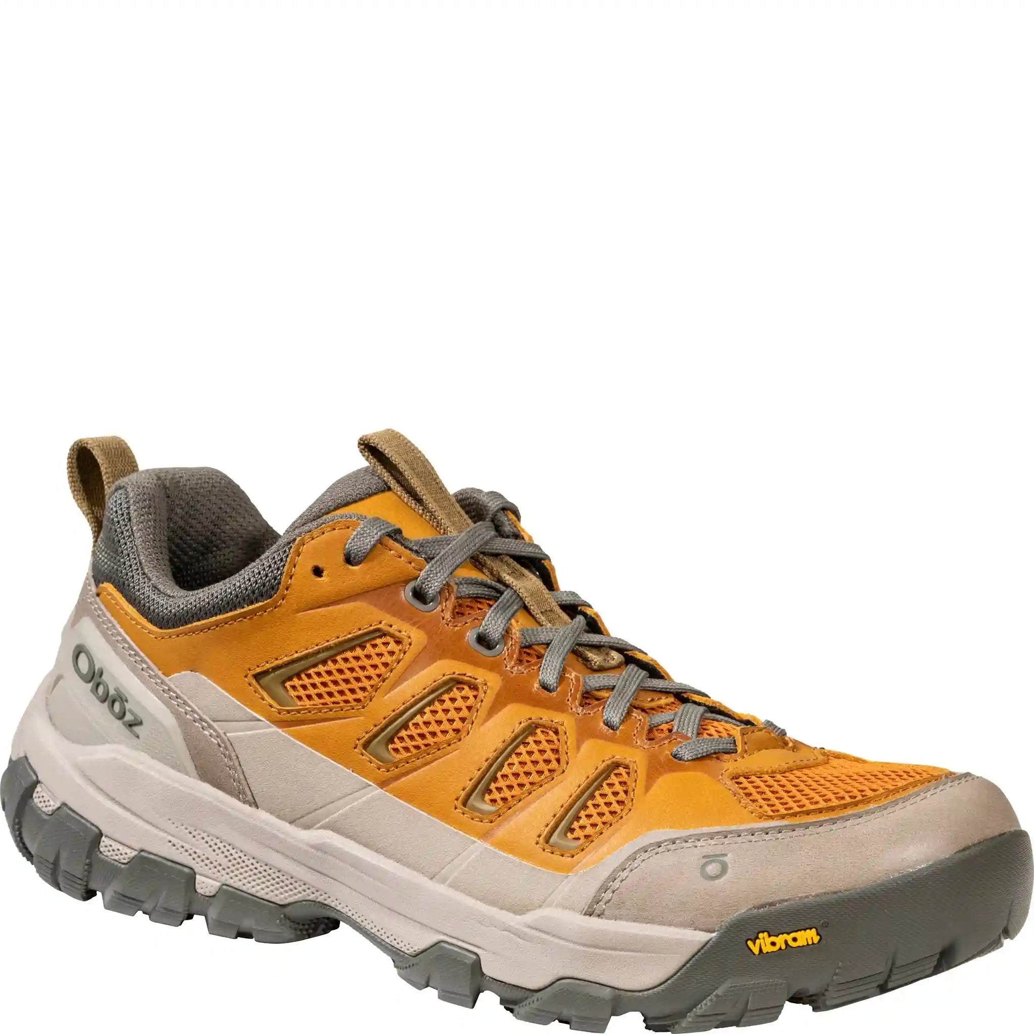 Men's Sawtooth X Pro Low Secondary image