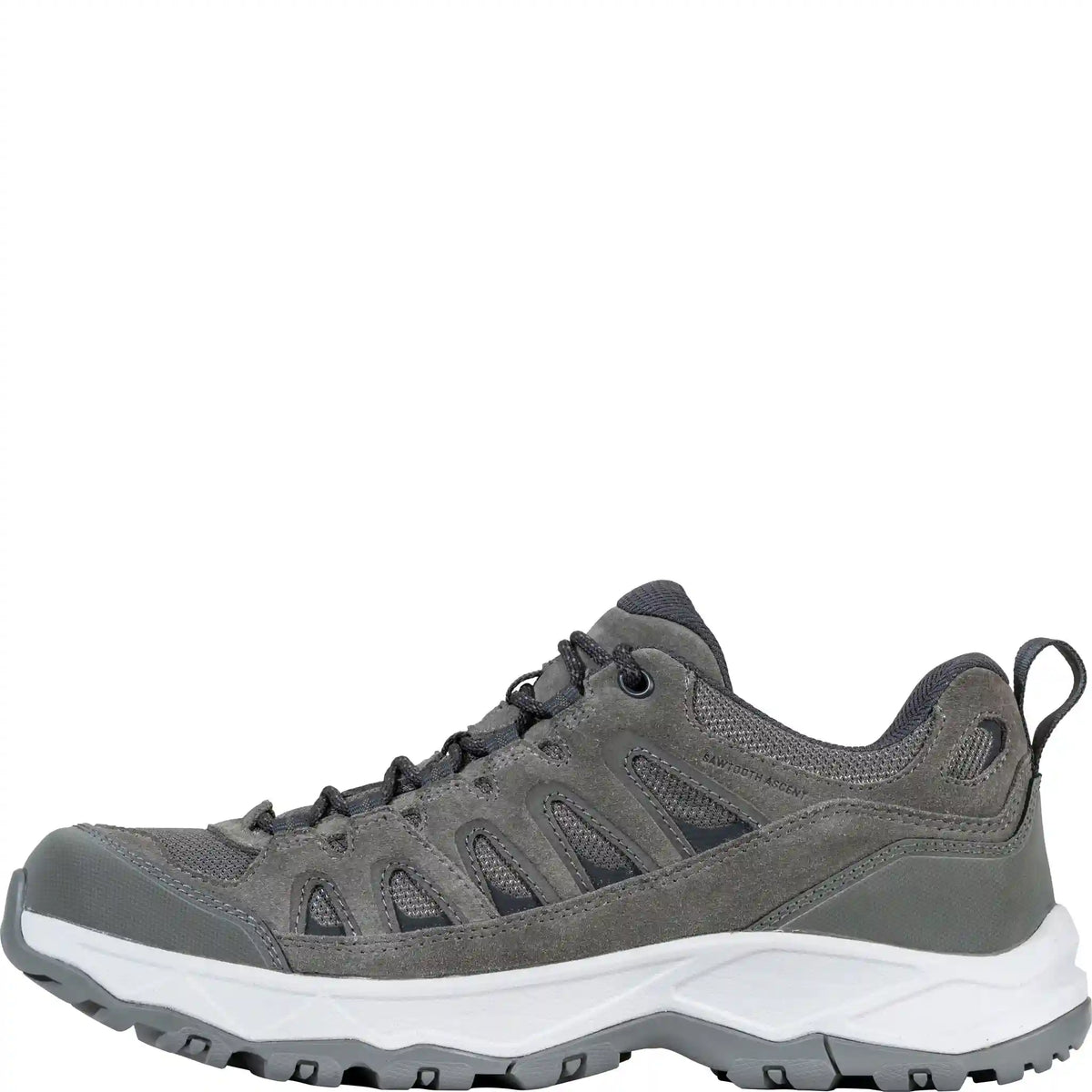 Men's Sawtooth Ascent Low