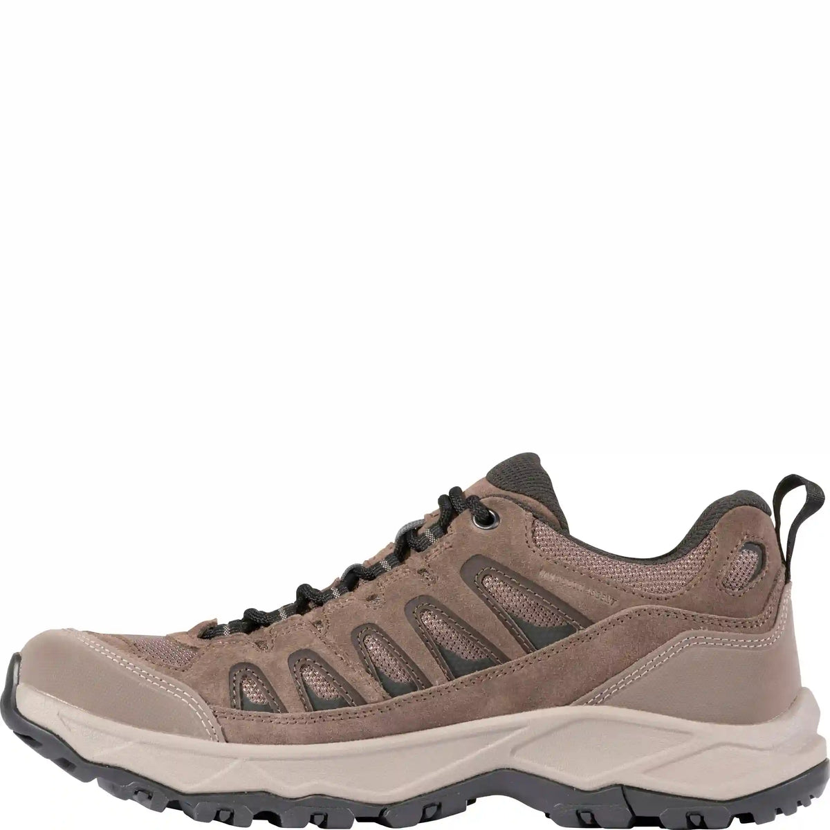 Men's Sawtooth Ascent Low
