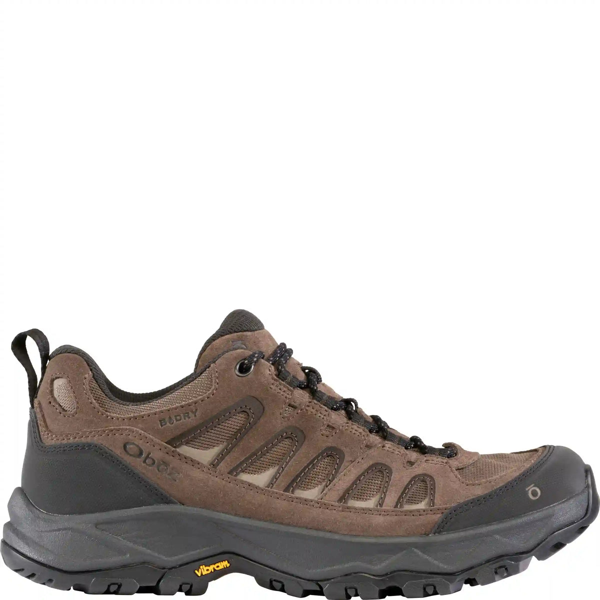 Men's Sawtooth Ascent Low Waterproof Main image