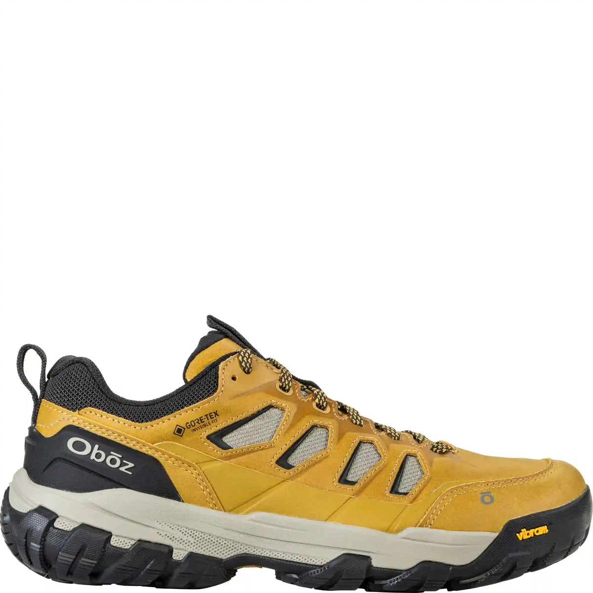 Men's Sawtooth X Pro Low GTX Waterproof Main image